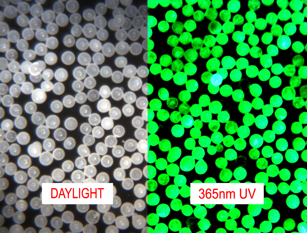 Fluorescent Microspheres Properties And Applications Microspheres