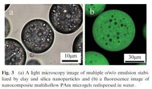 Fig3_nanocomposite_multihollows Nano Composite Multihollow Microspheres