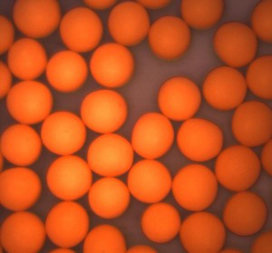 Orange Microspheres - Bouyant Microspheres Orange Microspheres - Bouyant Microspheres