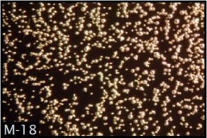Silver Coated Hollow Glass Microspheres