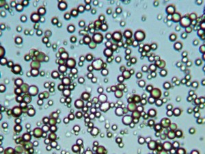 Silica Microspheres 4-8um Mean Diameter  200x Magnification