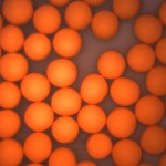 250-300um ORANGE PE Microspheres 250-300um ORANGE PE Microspheres