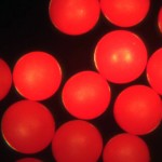 REDPMS-1.066_425-500um_40x_640x480 Density Marker Beads 1.065 Specific Gravity