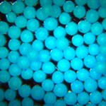 blue microspheres blue microspheres
