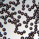 Borosilicate Glass Microbeads